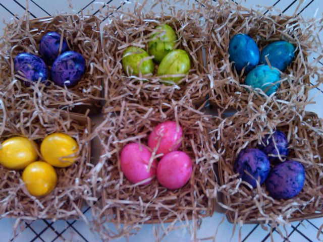 Decorative eggs in nests