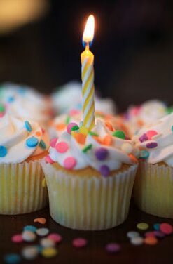 Single cupcake with lit candle