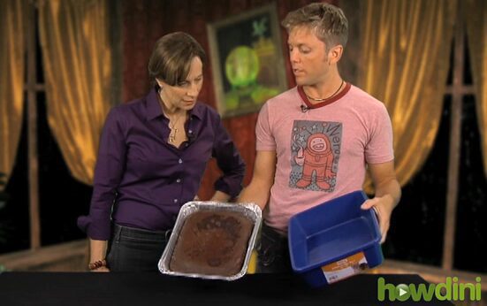 Comparing metal and plastic baking dishes