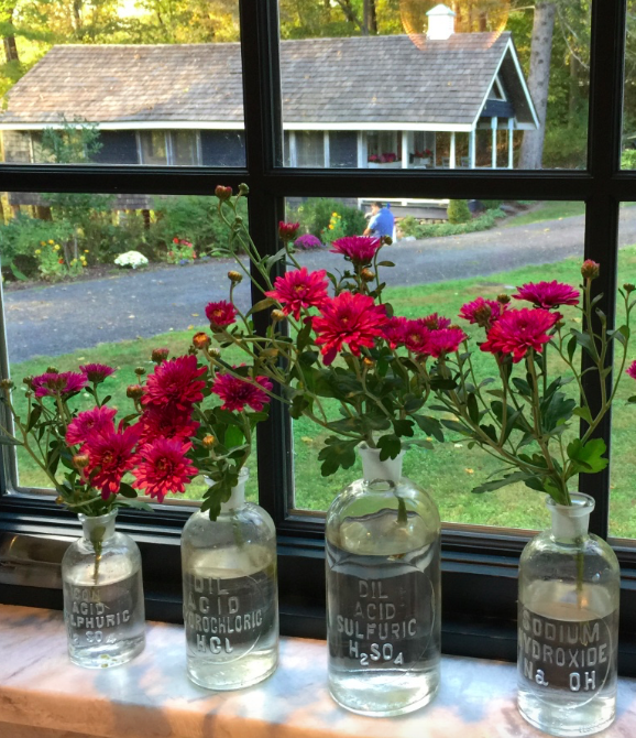 Vintage bottles holding flowers on windowsill