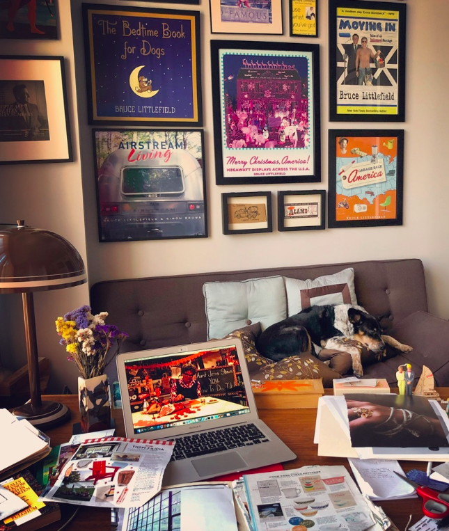 Dog sleeping on couch near desk