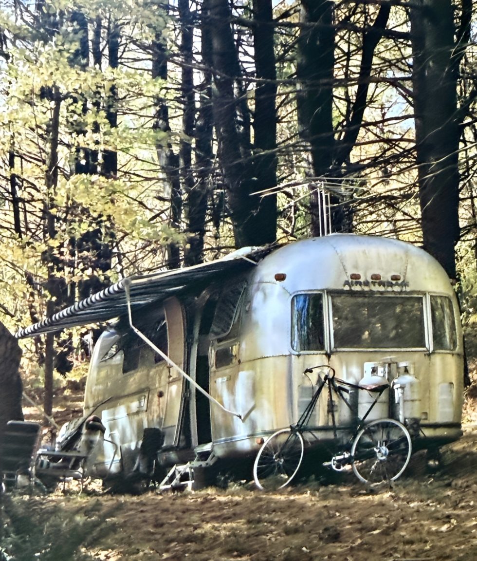 Vintage trailer in a forest setting.