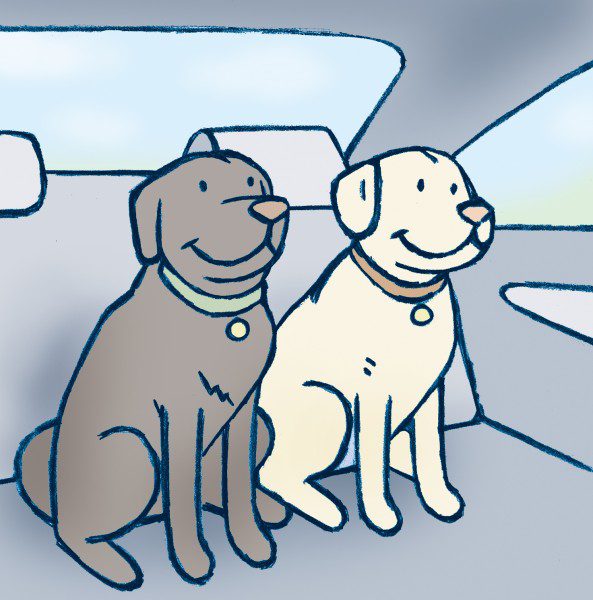 Cartoon dogs sitting in a car