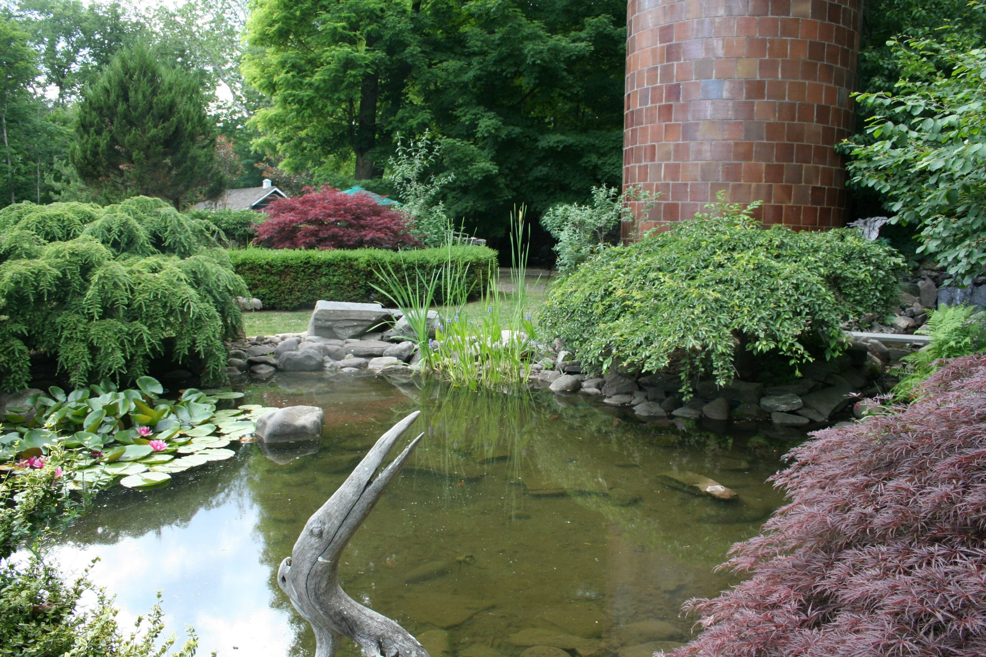 Garden pond with lush greenery and silo.