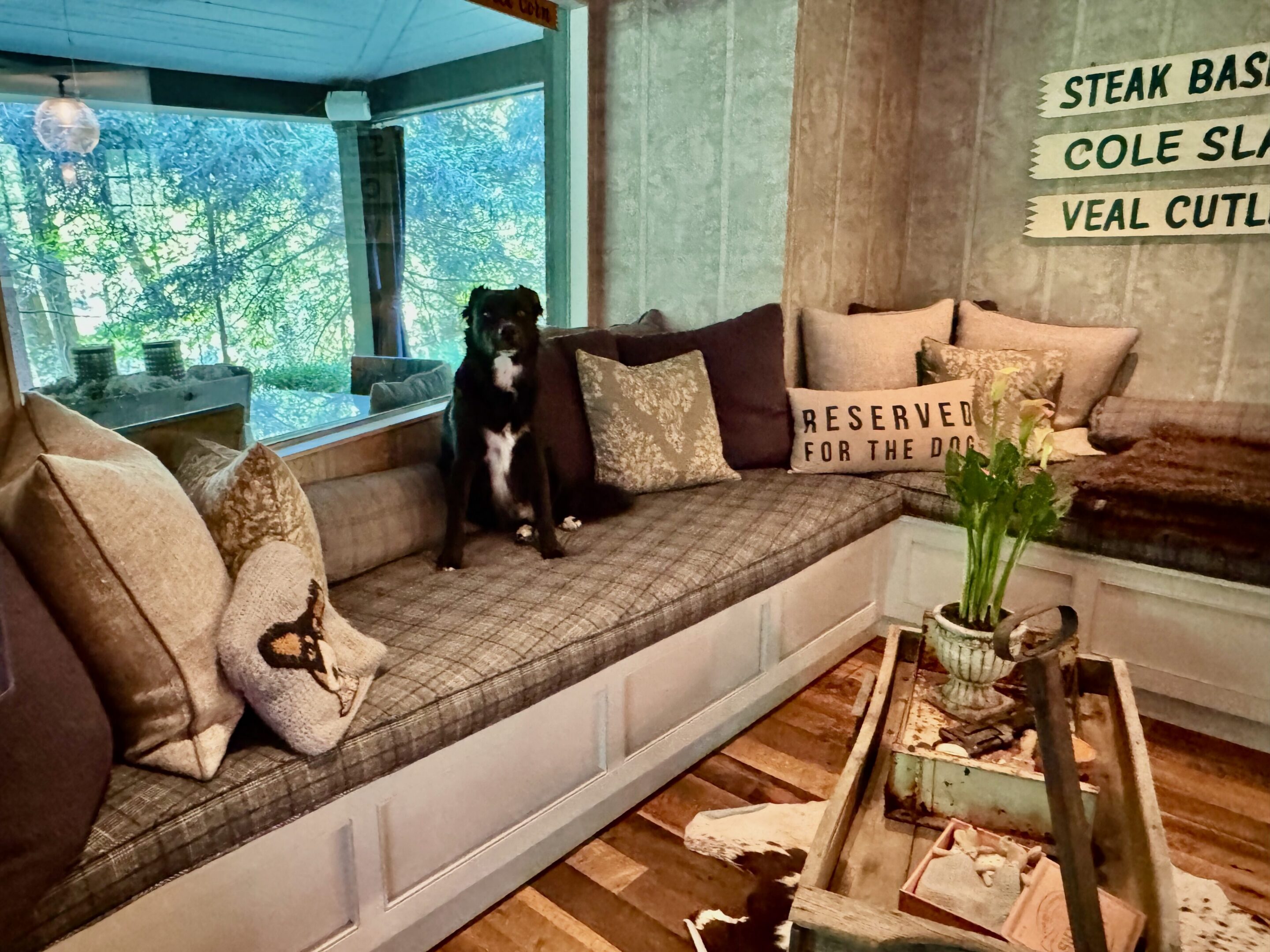 Dog sitting on a cozy window seat.