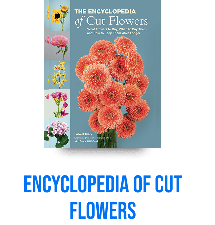 Encyclopedia of Cut Flowers book cover.