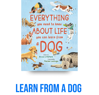 Book cover featuring playful dogs illustration.
