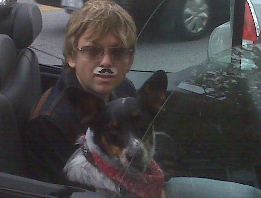 Dog wearing bandana in a car.
