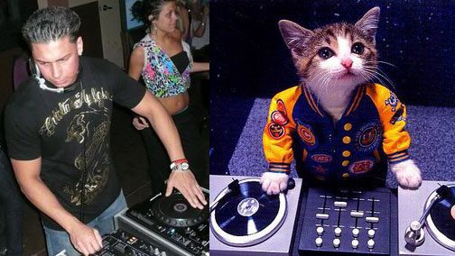 Man and cat both DJing at turntables