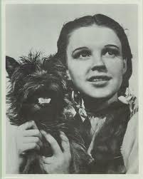 Woman holding a small dog, vintage photo