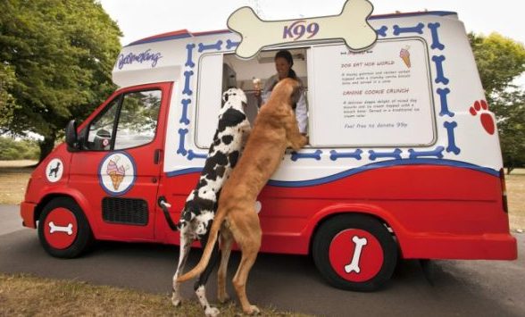 Dogs at ice cream truck