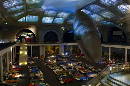 Museum sleepover under giant whale exhibit