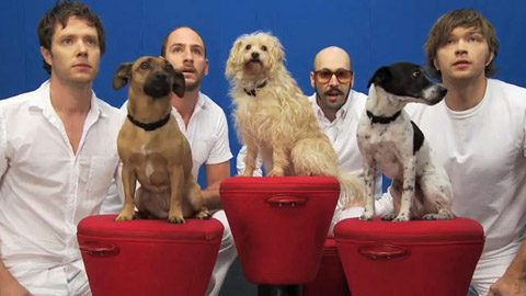 Group of men and dogs
