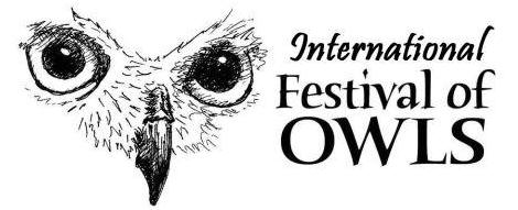 Owl drawing with festival text