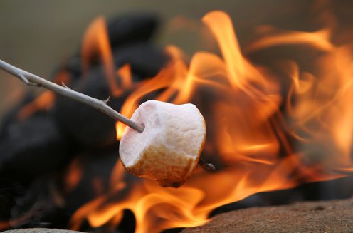Marshmallow toasting on an open fire