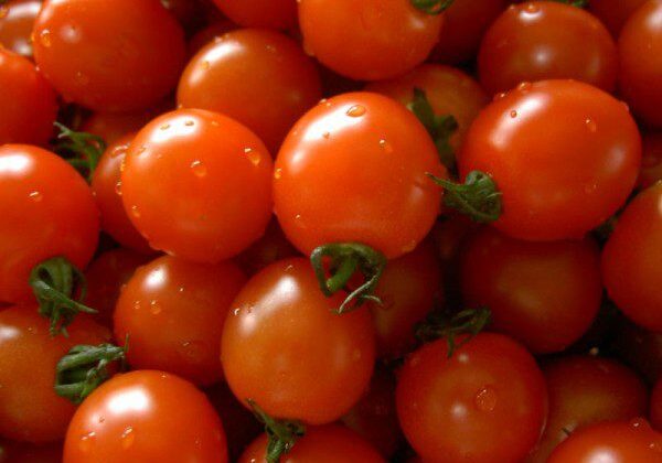 Fresh cherry tomatoes with water droplets