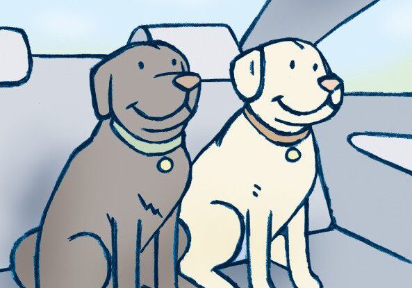 Cartoon dogs sitting in a car