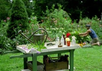 Person gardening in lush, green garden