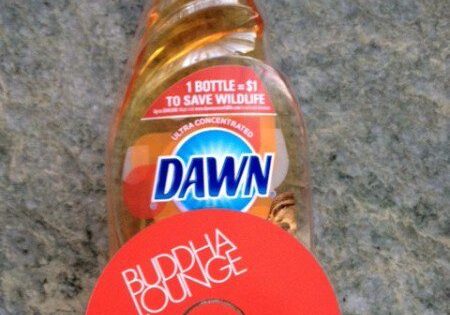 Dawn dish soap and Buddha Lounge CD
