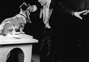 Man and dog in tuxedos performing together