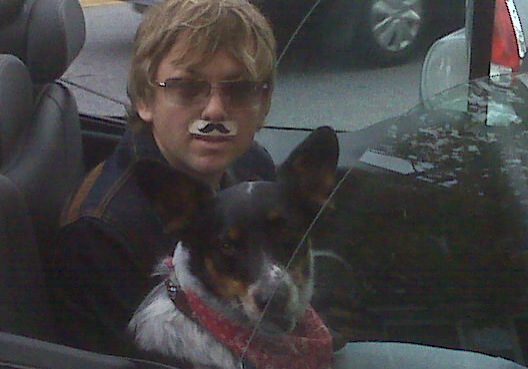 Dog wearing bandana in a car.