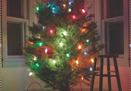 Christmas tree with colorful lights