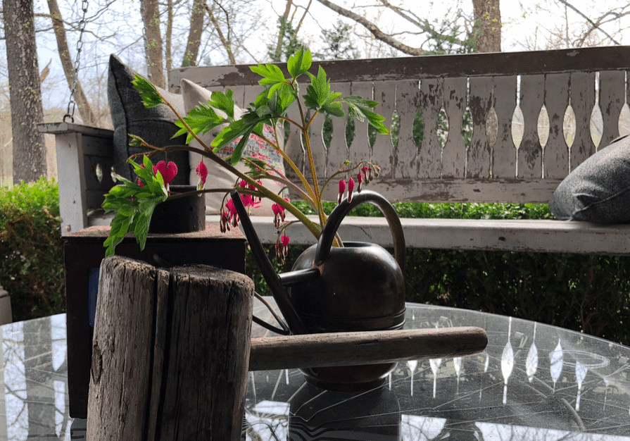 Rustic bench and outdoor table
