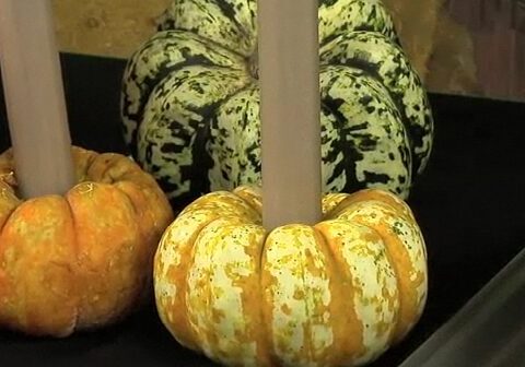 Mini pumpkins with inserted candle holders