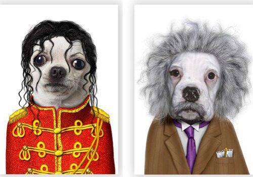 celebritypets-1