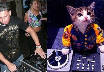 Man and cat both DJing at turntables