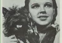 Woman holding a small dog, vintage photo