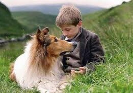 Young boy bonding with collie dog.