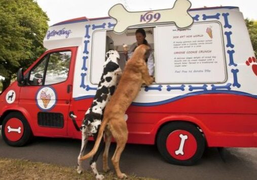 Dogs at ice cream truck
