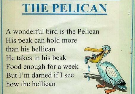 Humorous pelican limerick text and drawing