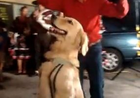 Man cheering behind a dressed-up dog