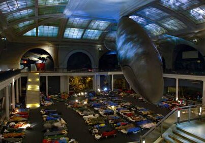 Museum sleepover under giant whale exhibit
