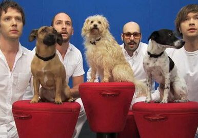 Group of men and dogs