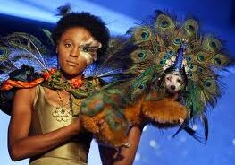 Fashion show with peacock-inspired designs