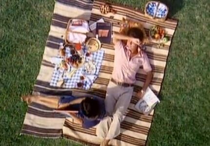 Aerial view of picnic setup