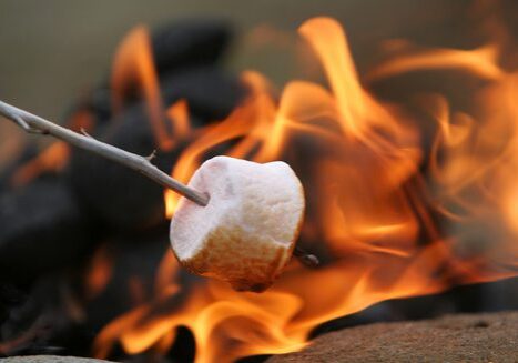 Marshmallow toasting on an open fire