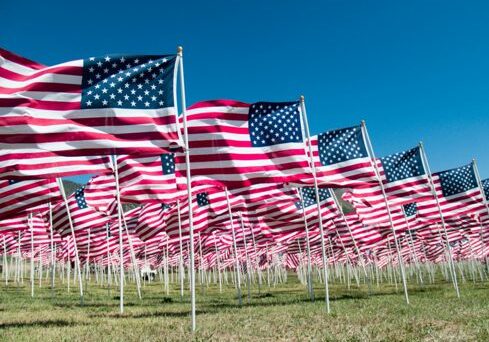 Field of American flags waving in wind