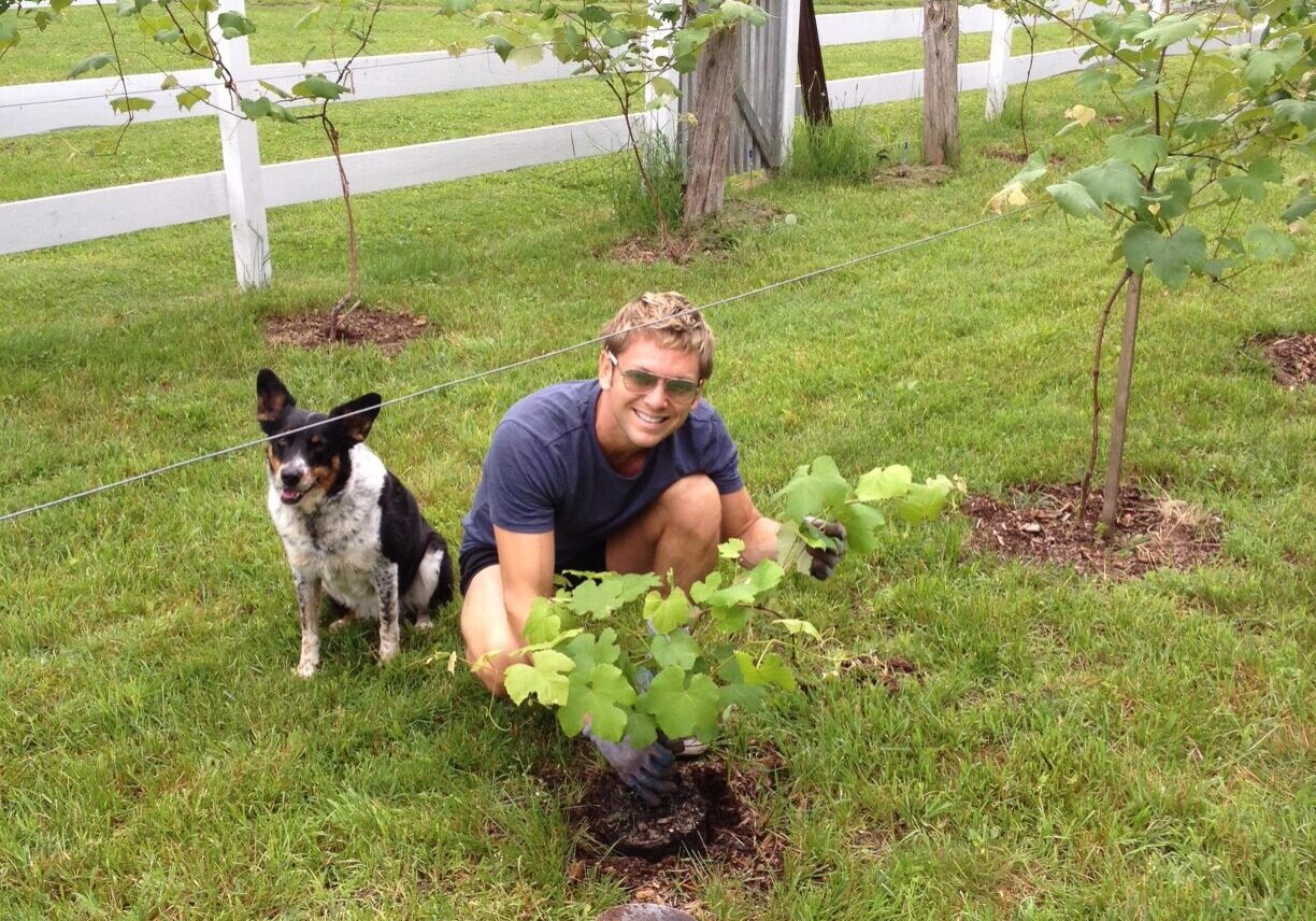 Man gardening with attentive dog